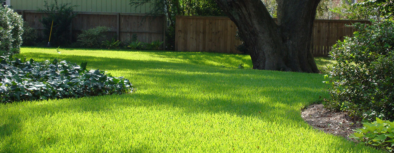 Banner2500pxV JW Turf Farms